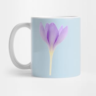 Crocus goulimyi   AGM  Autumn flowering crocus Mug